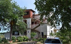 Apartment Bozana 2